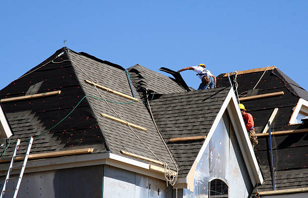 Best Roof Insulation Installation  in Pender, NE